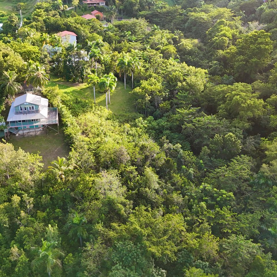 Dji 20241114154028 0030 d