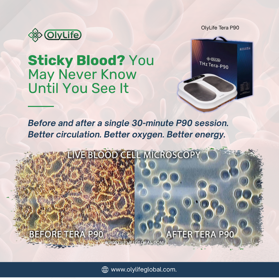 A1 june 2025 blood cell analysis