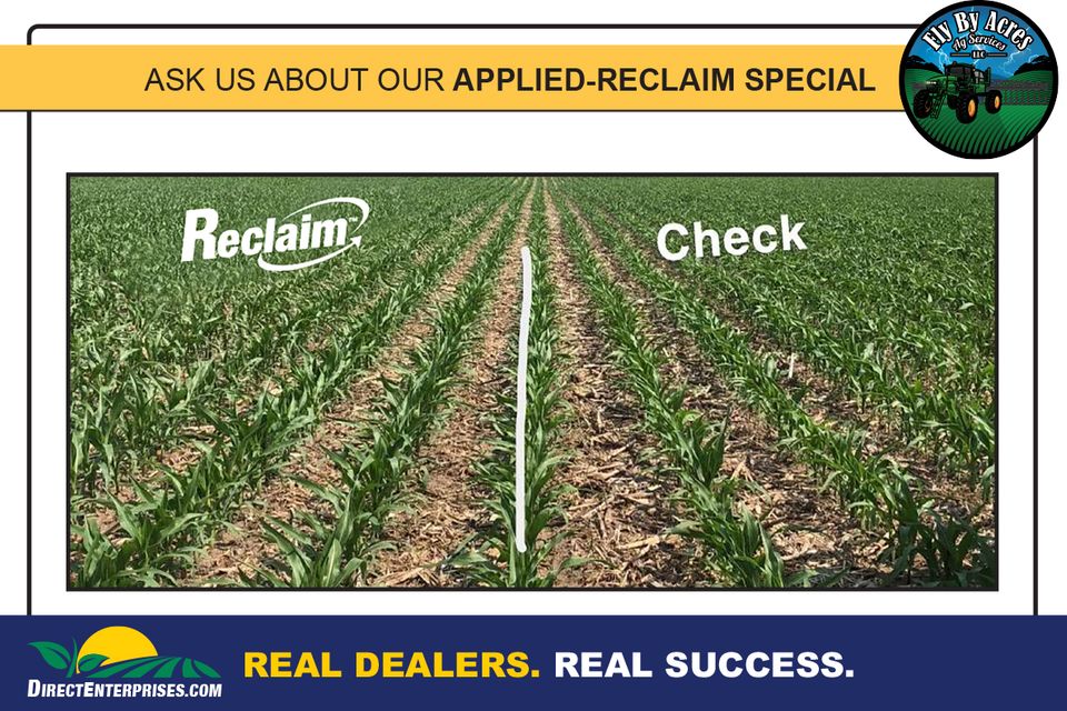 Fly by storyboards 20250823 6