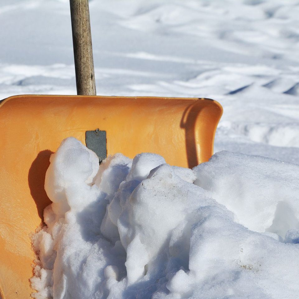 Shovel20171215 11309 1yzaxx3