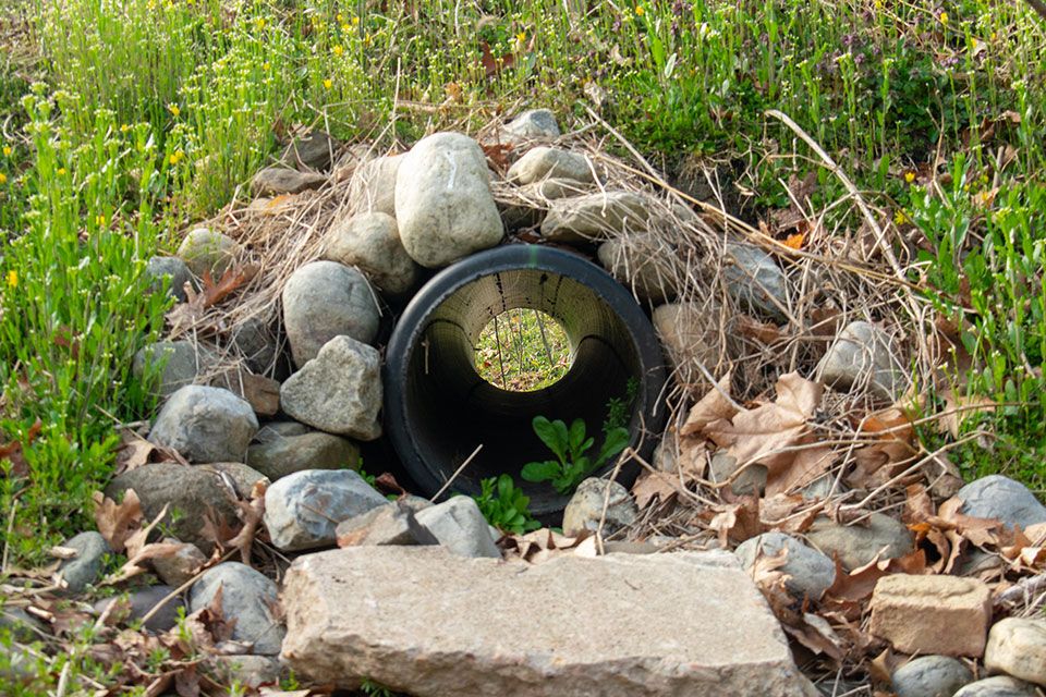 French drains
