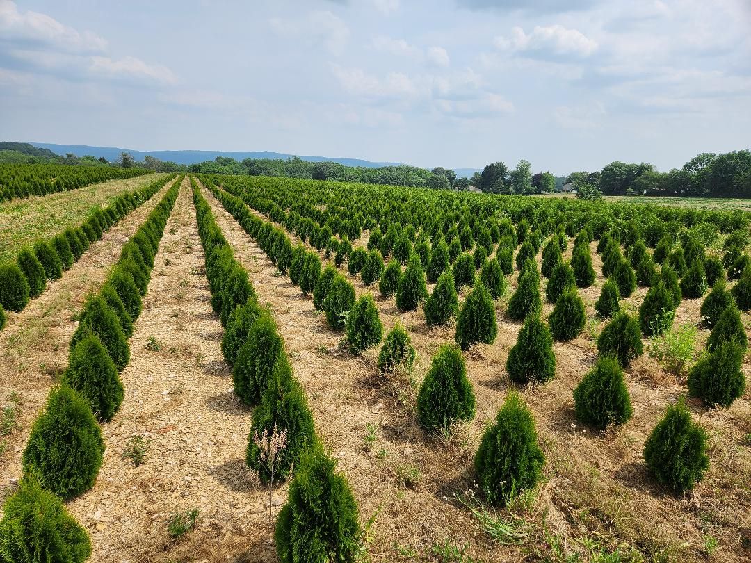 Potts Nurseries 427 Ontelaunee Drive, Shoemakersville, PA