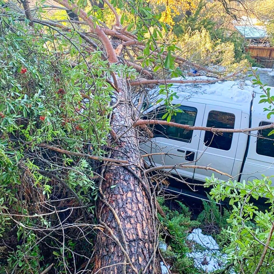 487249337 1254016736300970 7003083549923888583 n