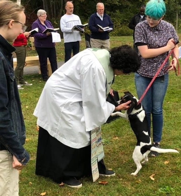 Blessing of the animals