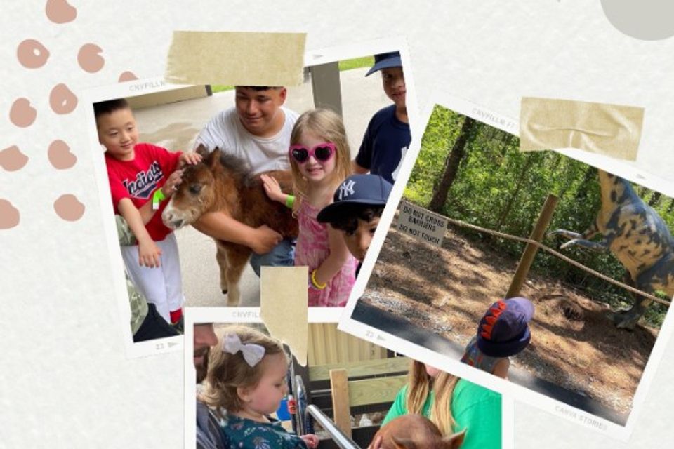 Sensory day