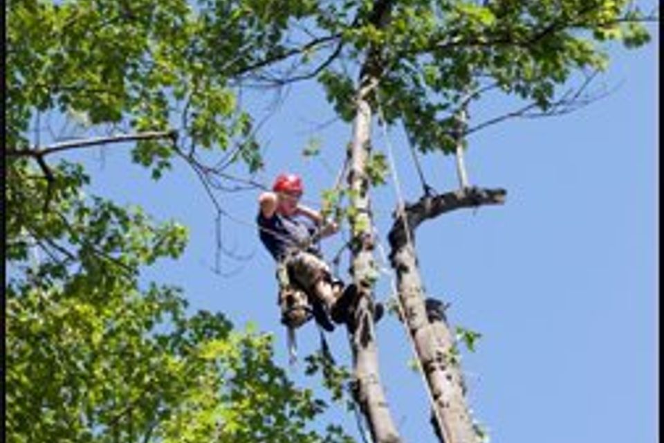 07371f084e352b461492ed99596d754720180306 16931 wxtplx