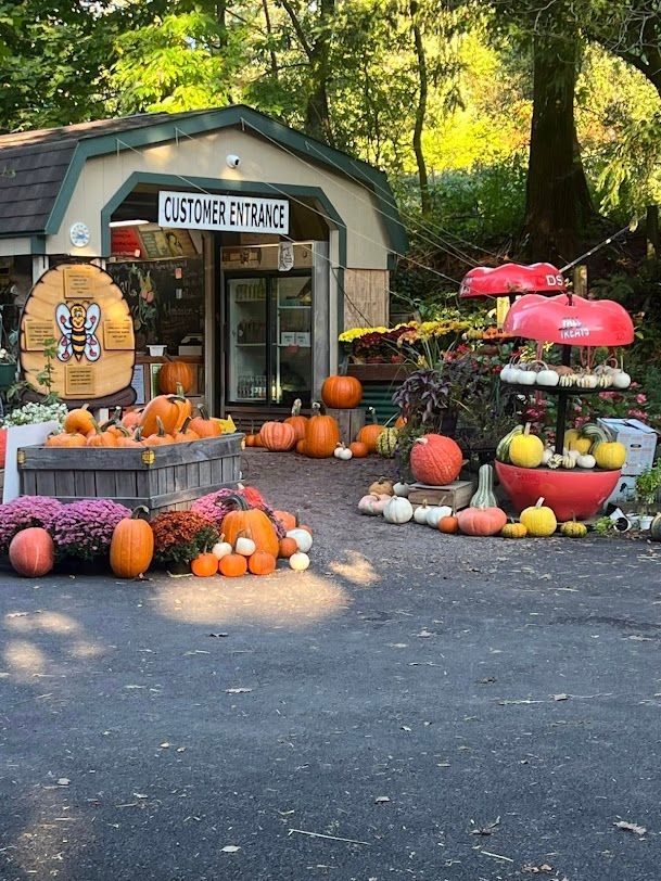 Af1qipohfhhclhbfpjpsrjvwnqhak3dkdujyvtuokr7n s812 k no