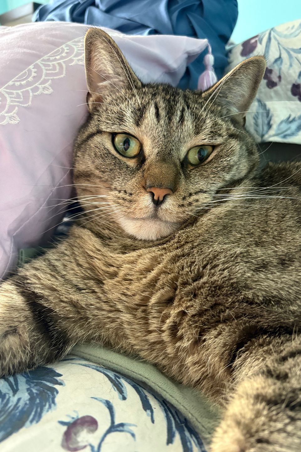Milo
