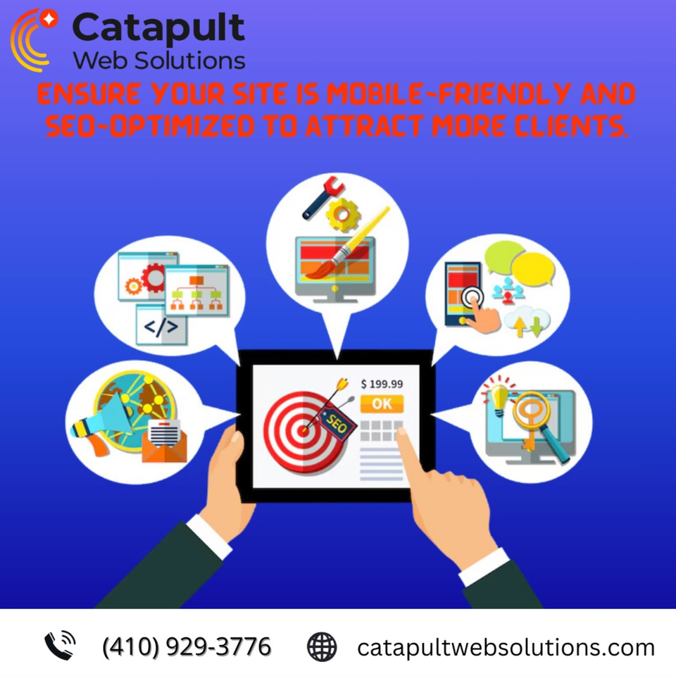 Catapult web solutions approved logo usage example 4