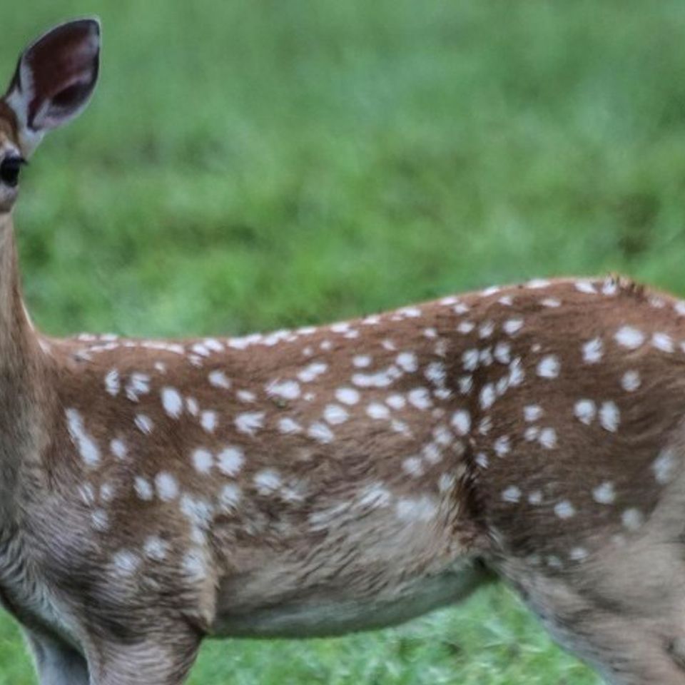 B809f614 e8fe 497f a312 c218a6e491d2