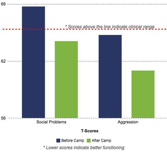 Quest autism summer camp parent report graph 550x500