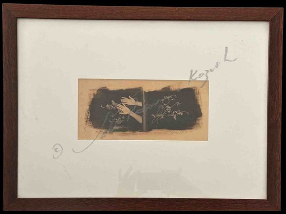 Roses sting. van dyke