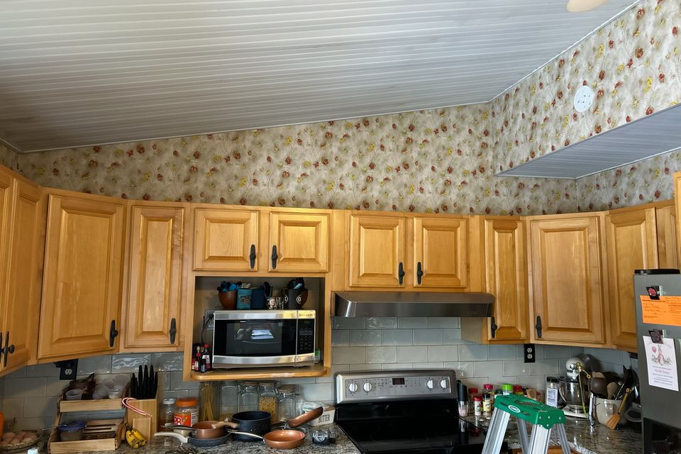 Img 1979