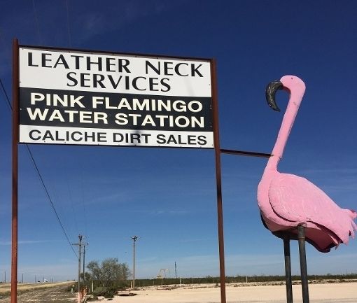 Pink flamingo water station criminal mischief