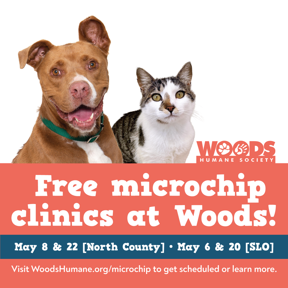 Woods microchip clinic may 2026 facebook instagram 2