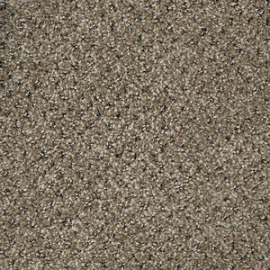 Bb003 macadamia
