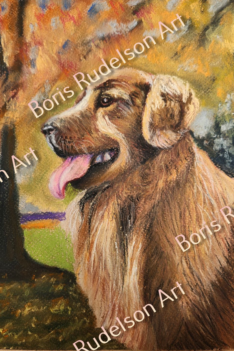 Pastel. Golden retriever