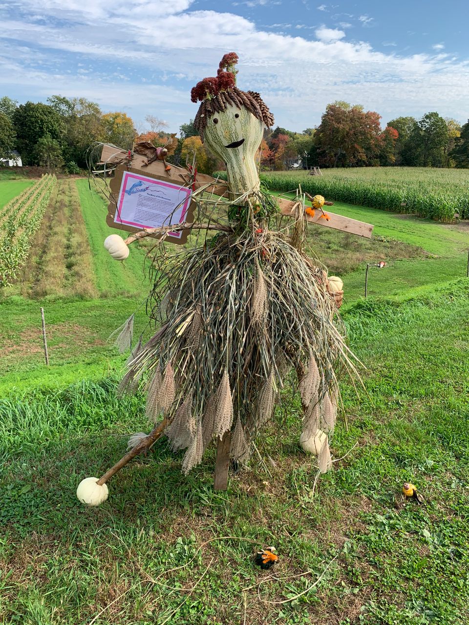 Scarecrow contest in acton 3