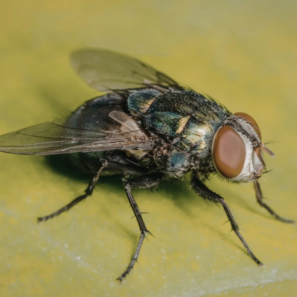 Screen shot 2026 03 03 at 2.24.14 pm