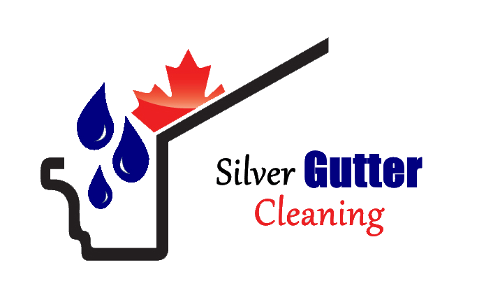Silver Gutter Cleaning