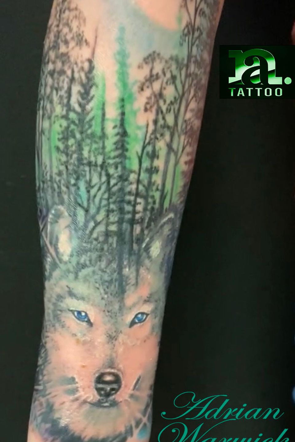 Adrian wolf wilderness