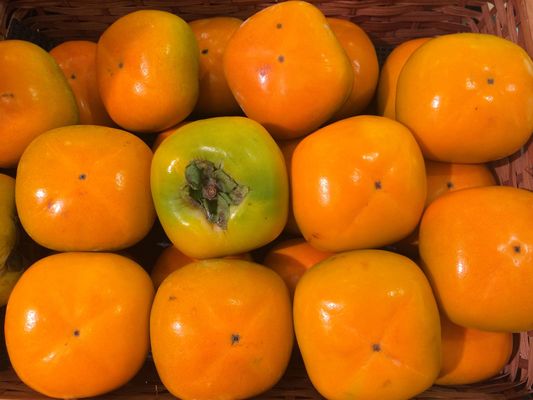 Persimmon gb1e91f6bf 1920