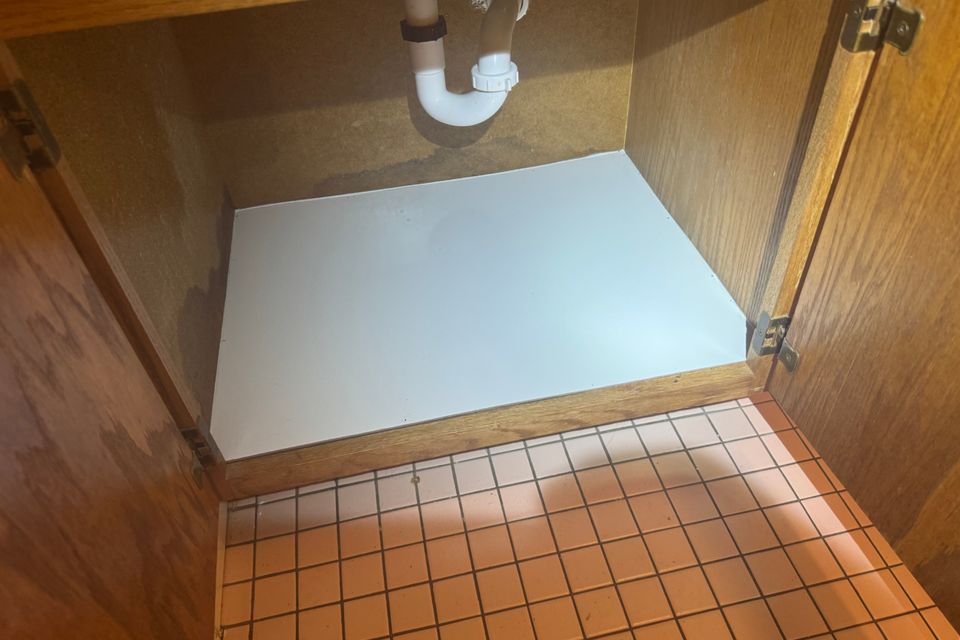 Img 3679