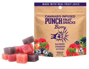 Punch fruitsnack berry100b