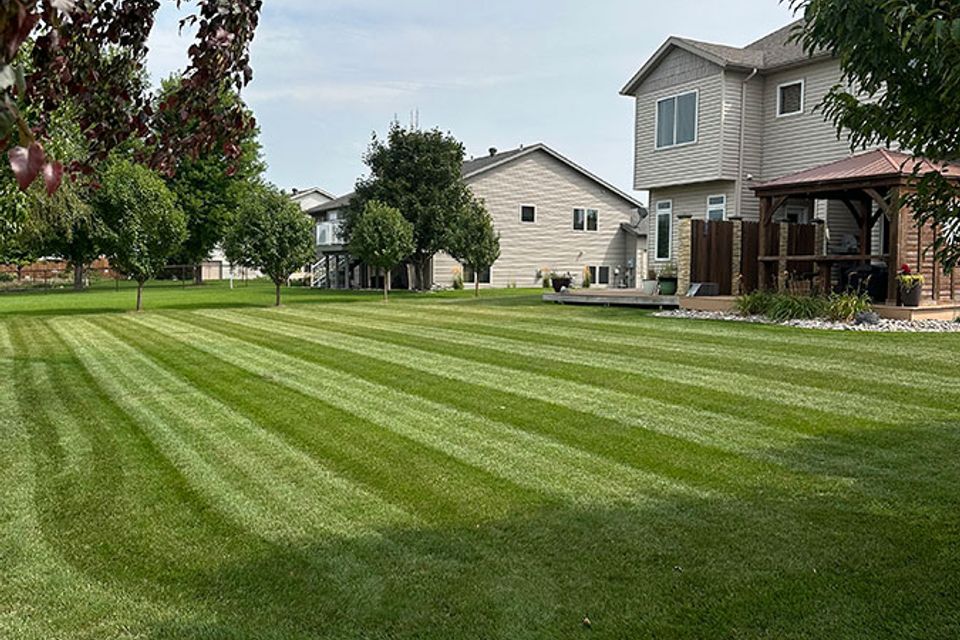 Grizzly lawn care 3