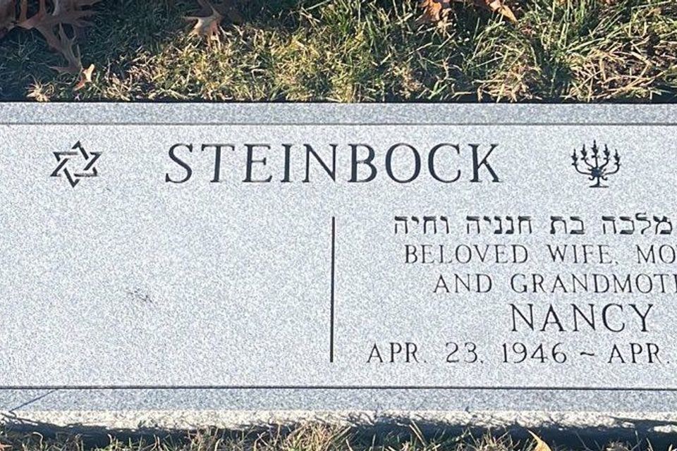 Steinbock set 