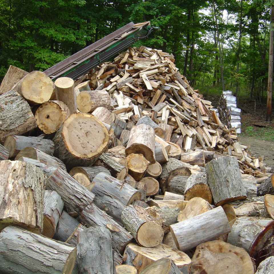 Firewood gallery1020180517 8897 1f2pa9b
