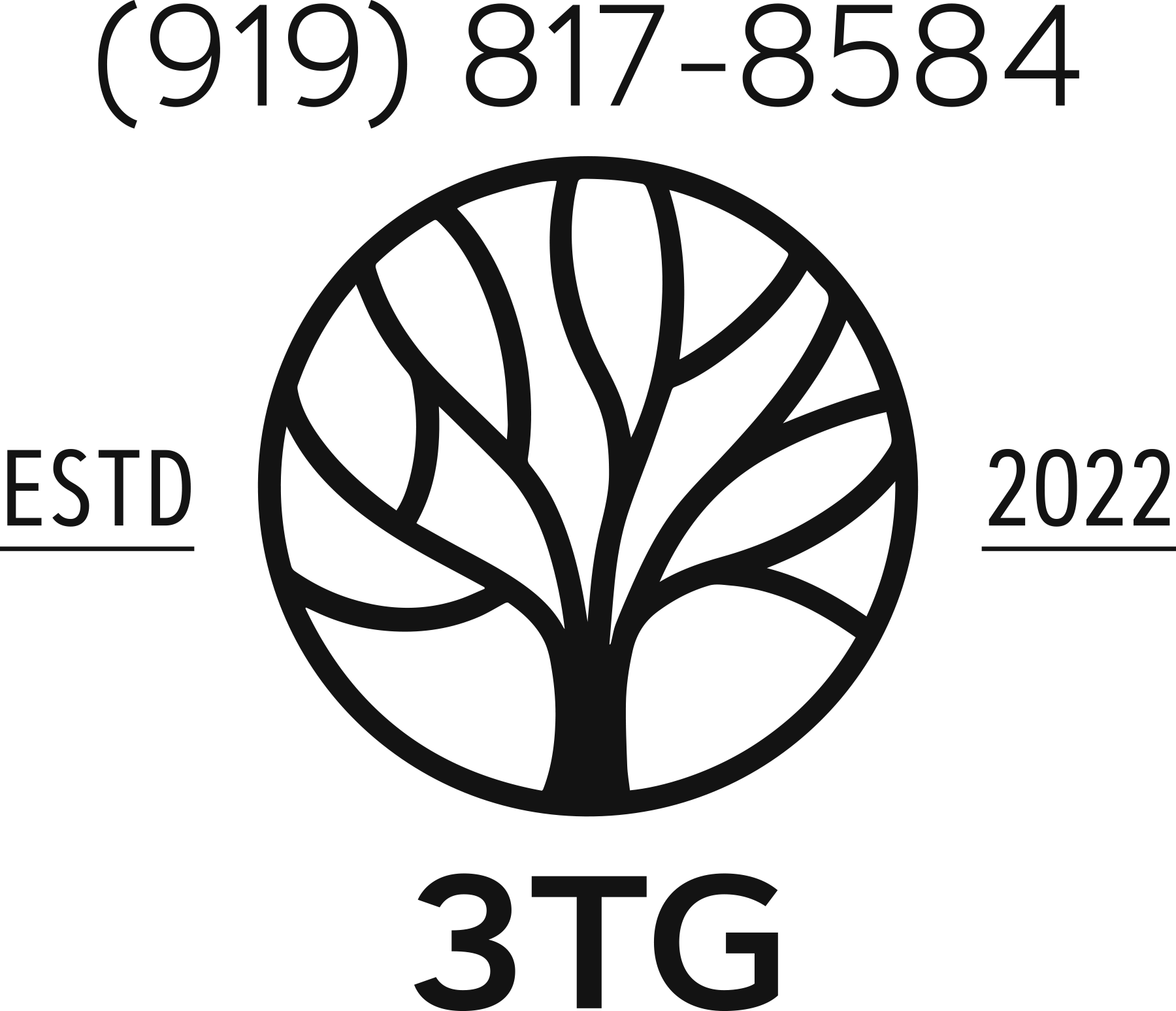 3TG LLC