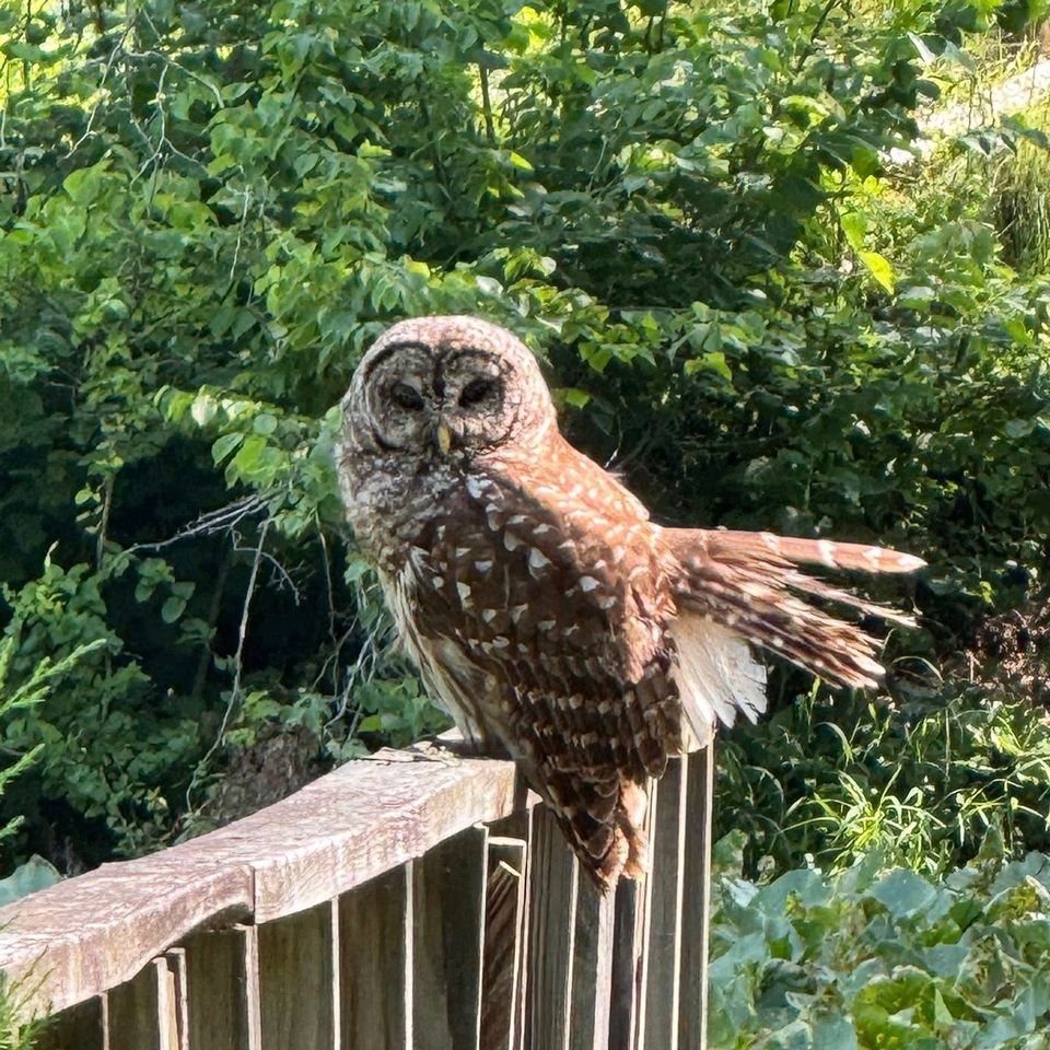 504672721 122174494274583527 2262825899137705322 n