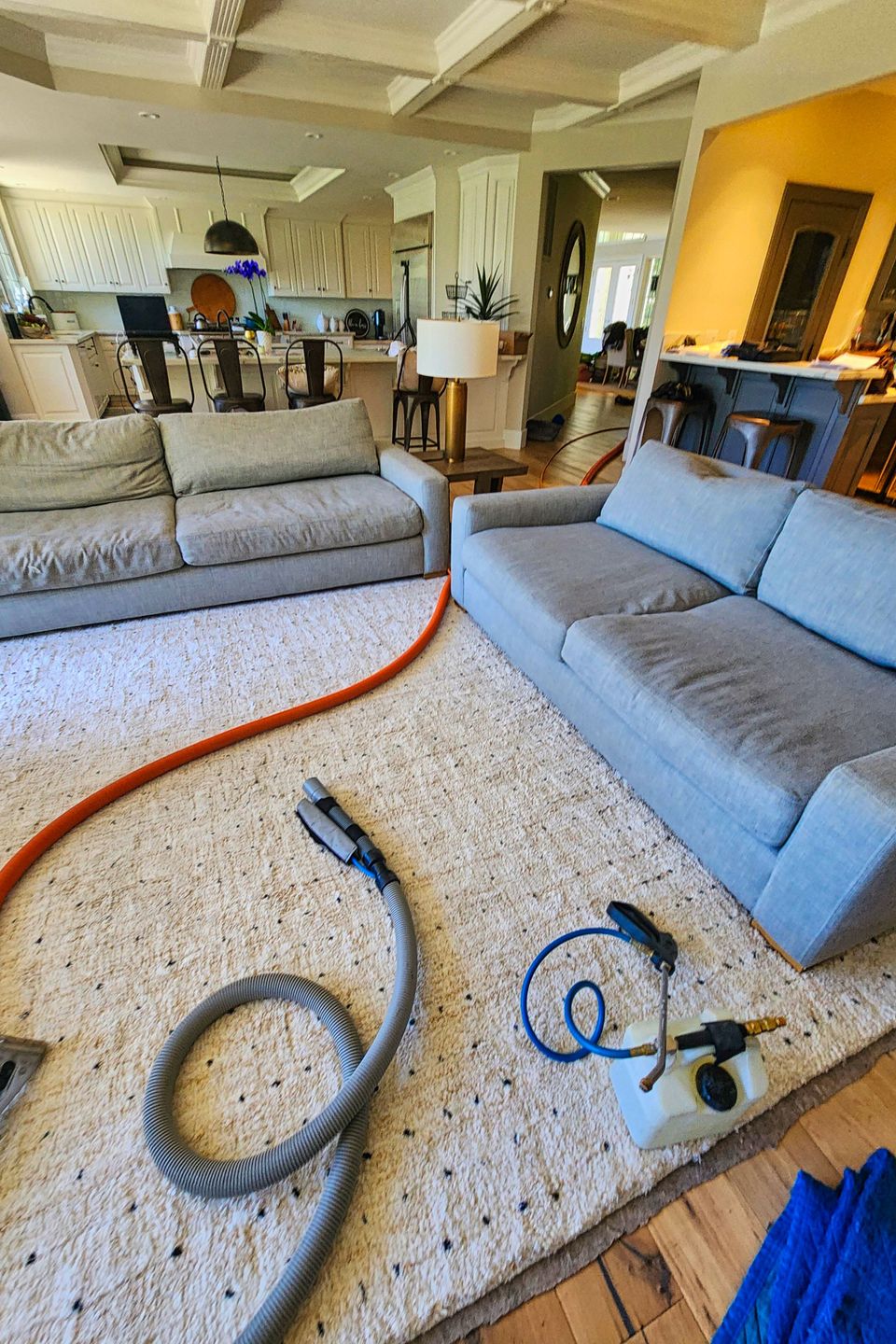 rug cleaning folsom