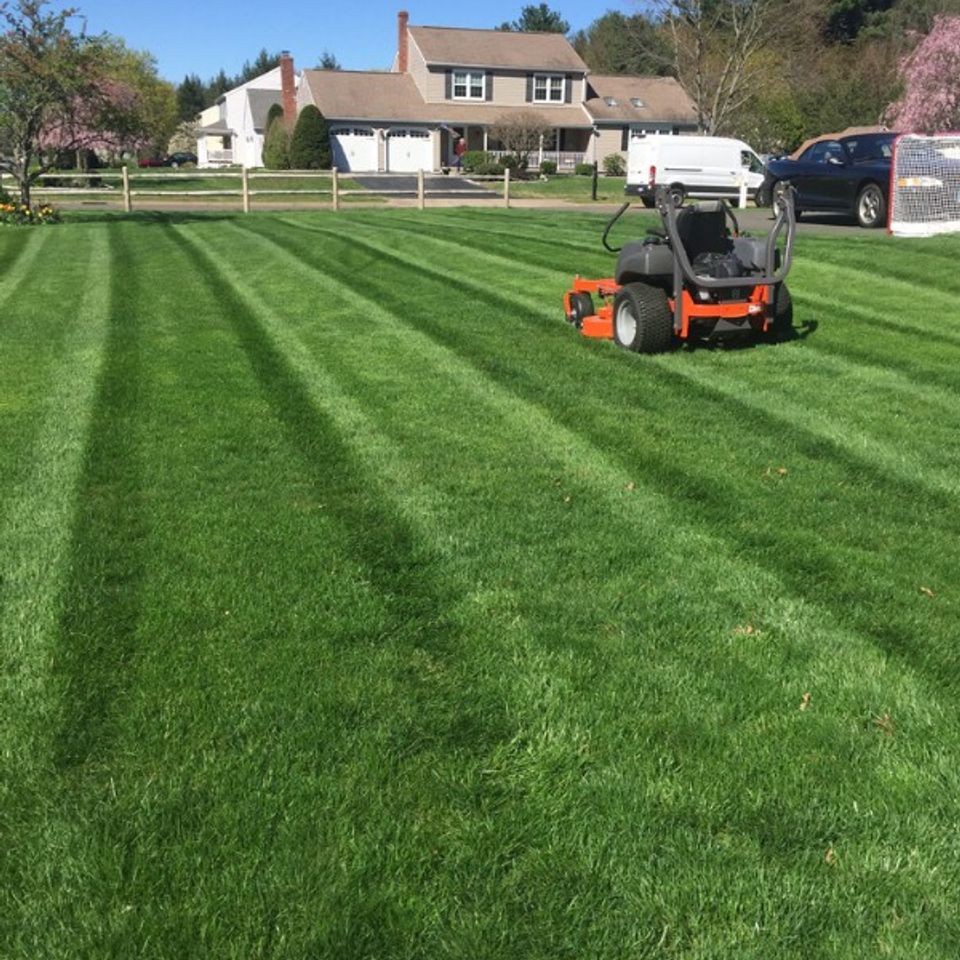1 mowing 01