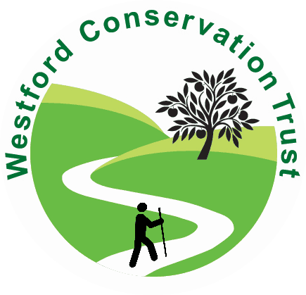 Wct logo transparent