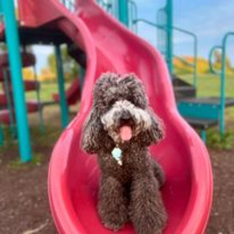 Eli on slide