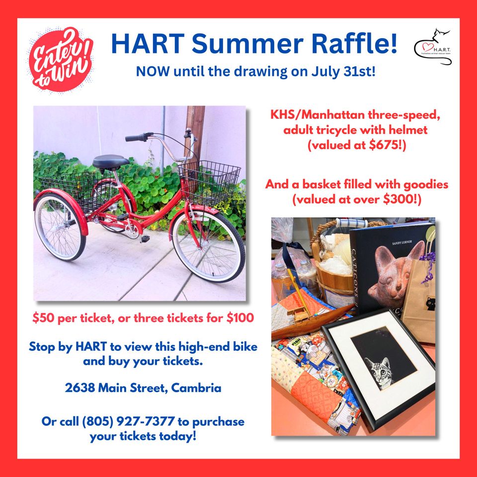 Summer raffle! enter to win now through the end of the month. drawing on july 31st! khsmanhattan three speed  adult tricycle with helmet valued at  675 and a basket filled with goodies valued at o