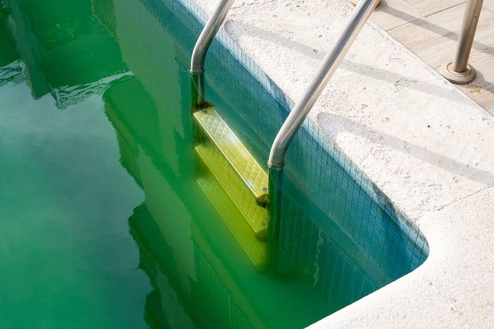Green pool water