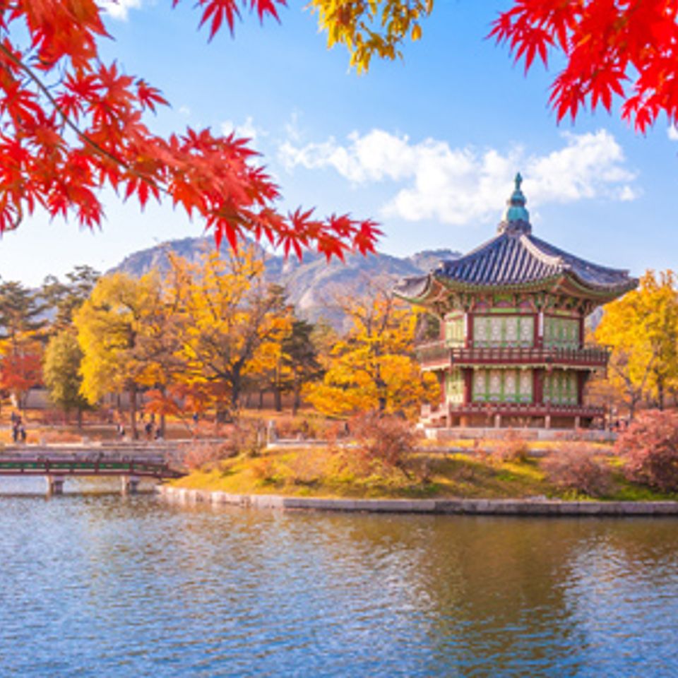 South korea   5 days   4 nights   seoul