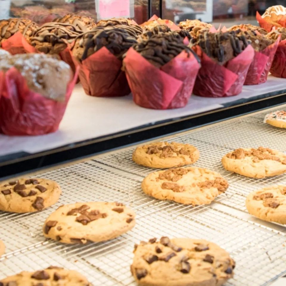 Bagels johnsoncity 55