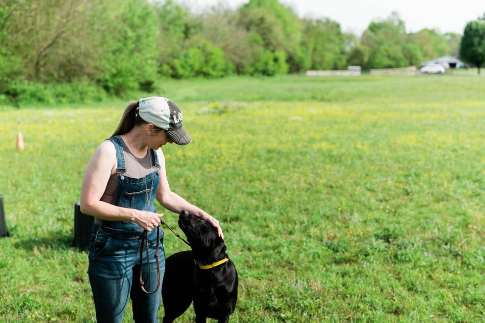 Kindred spirts dog training 14