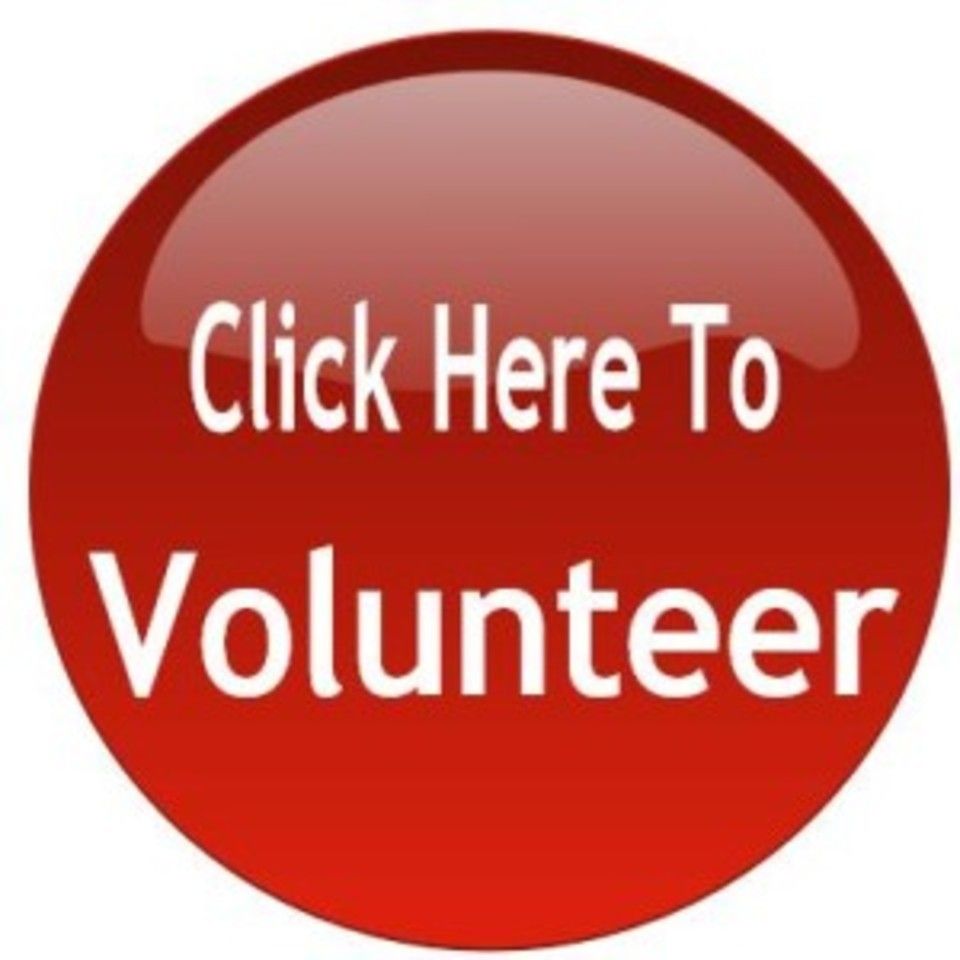 Volunteer button 300x30020150515 2114 9a8svw