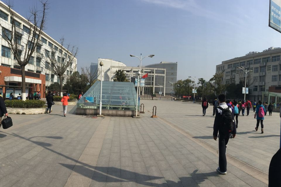 Img 0010 2