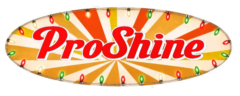 ProShine Window Cleaning