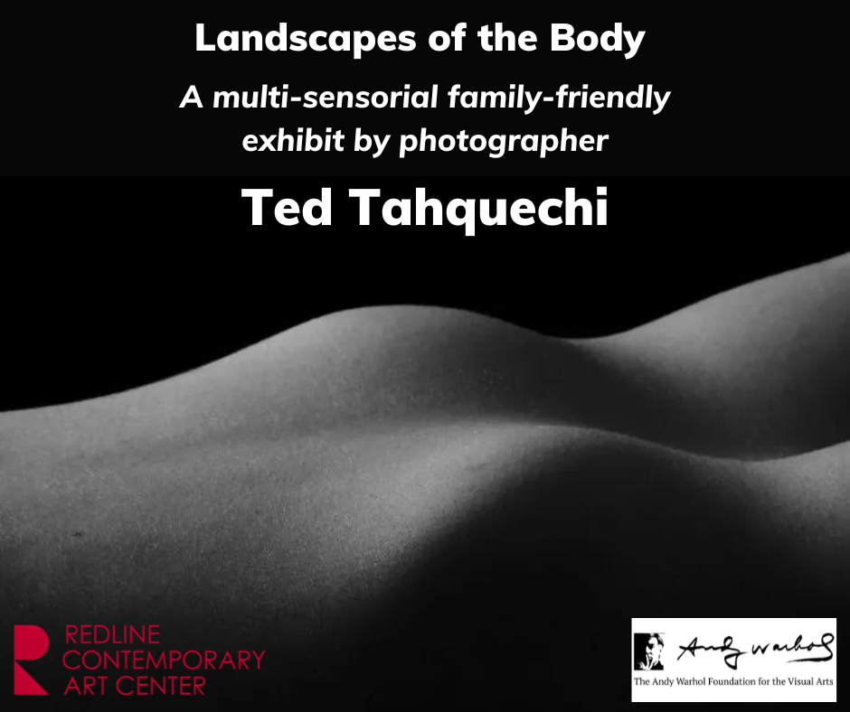 Copy of landscapes of the body facebook