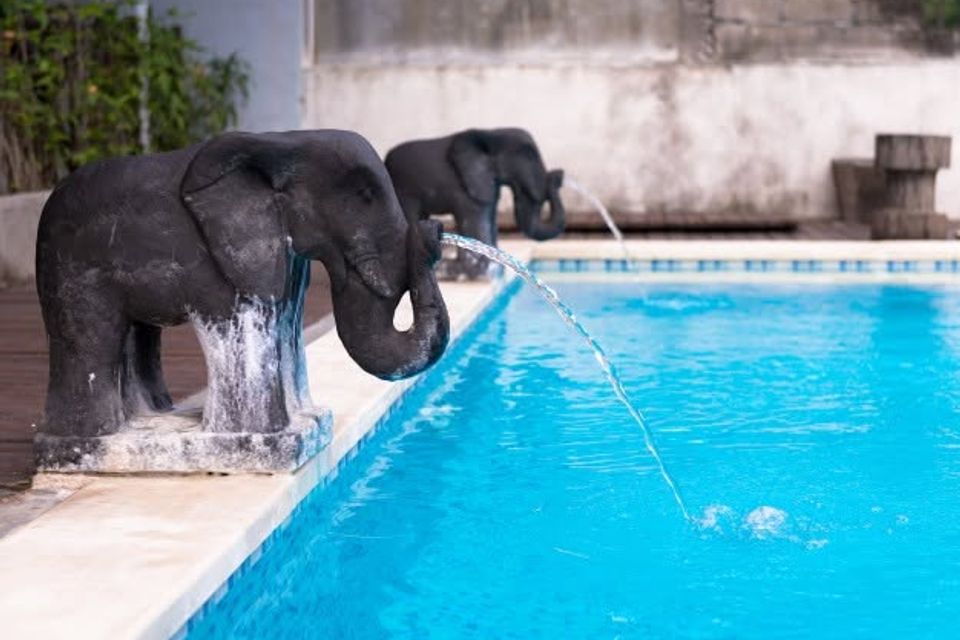 Elephant fountains