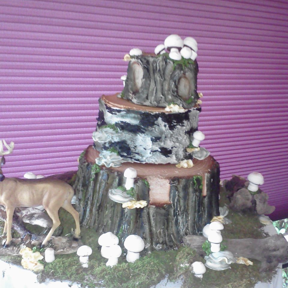 Wed cake 17620180617 21613 whoiq1