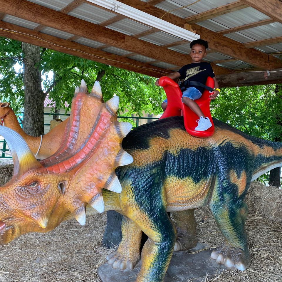 Dino ride pic