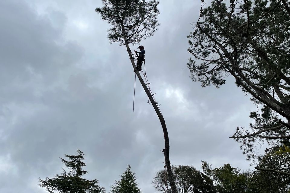 Img 0318